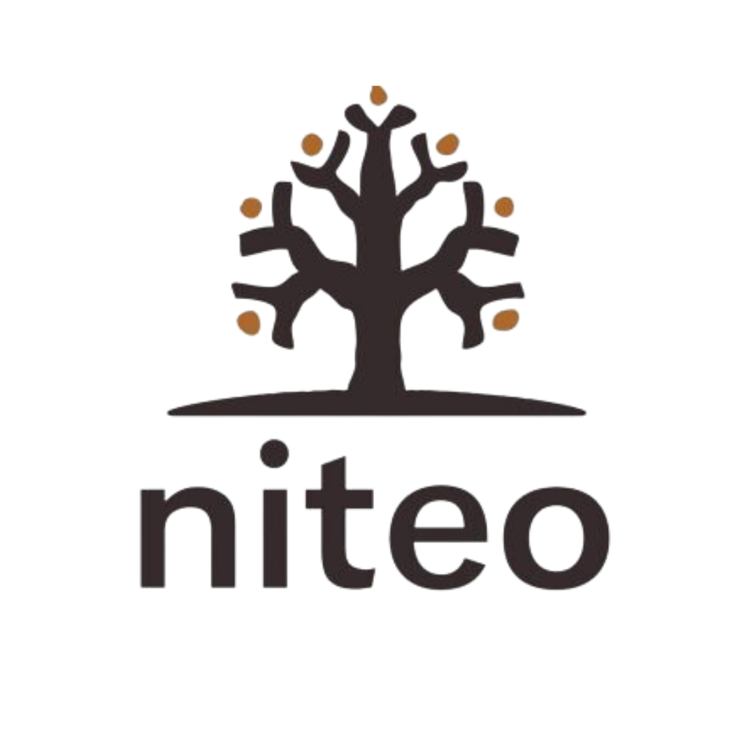 Niteo Africa Society